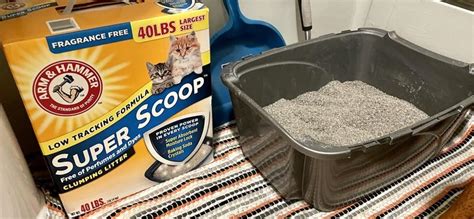 best cat lotter|best and cheapest cat litter.